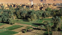 Agriculture as an economic engine